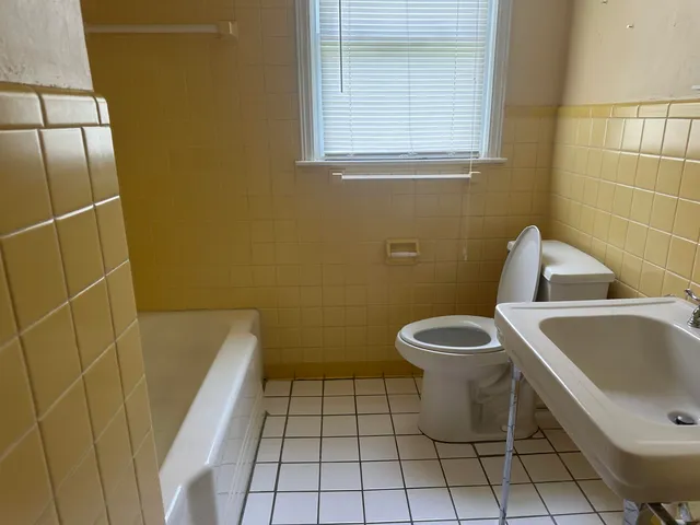 a bathroom with a sink and a toilet