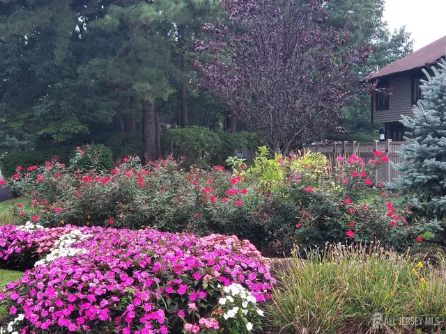 a view of a garden with flowers and trees