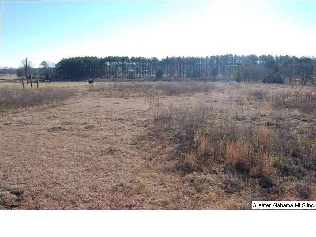 993 County Road, Unit 8/13/12 Clanton, AL 35045 - Photo 3 of 9