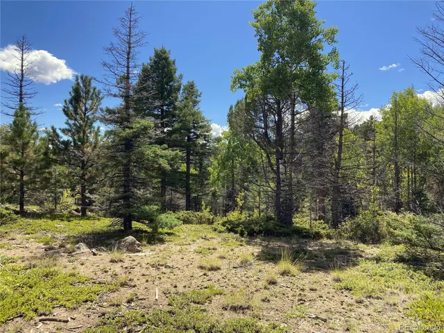 a view of outdoor space with trees all around