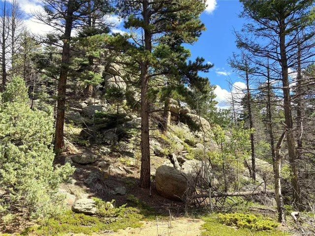 a view of a yard covered in snow