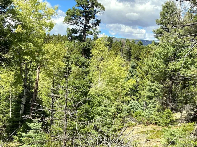 a close up of a plant