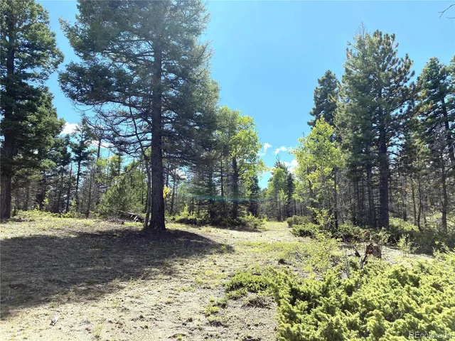 a view of outdoor space with trees
