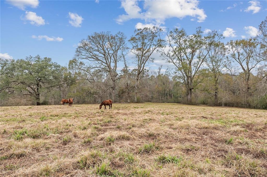 83327 Beason Road Folsom, LA 70437 - Photo 20 of 31 Gallery Image 20