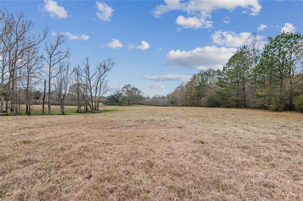 83327 Beason Road Folsom, LA 70437 - Photo 22 of 31 Gallery Image 22