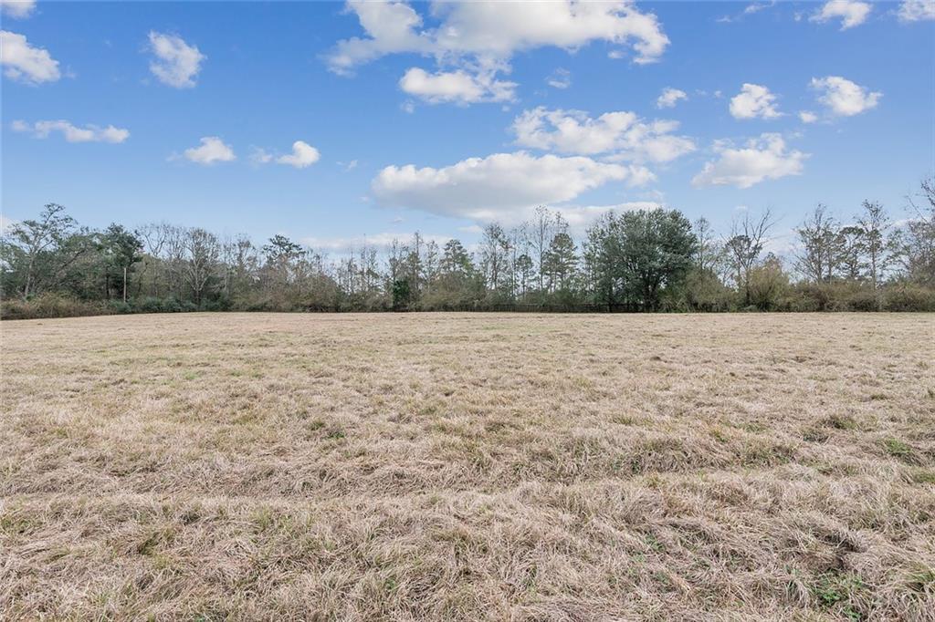 83327 Beason Road Folsom, LA 70437 - Photo 25 of 31 Gallery Image 25