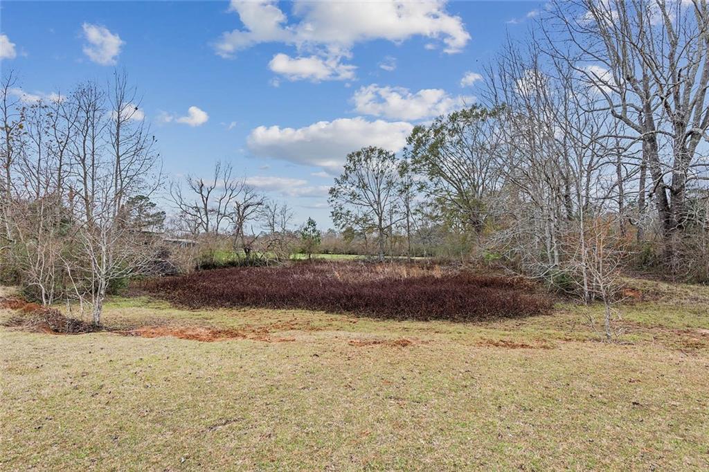 83327 Beason Road Folsom, LA 70437 - Photo 26 of 31 Gallery Image 26