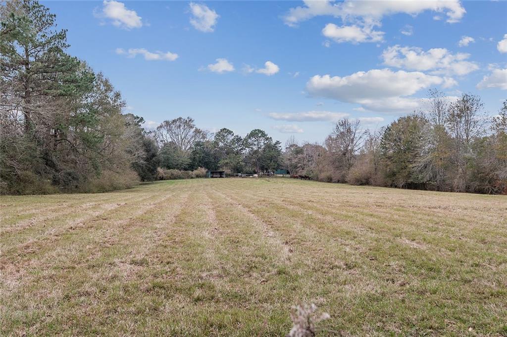 83327 Beason Road Folsom, LA 70437 - Photo 28 of 31 Gallery Image 28