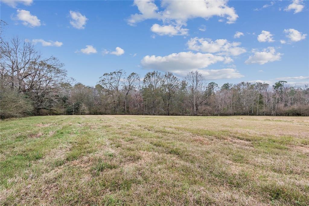 83327 Beason Road Folsom, LA 70437 - Photo 29 of 31 Gallery Image 29