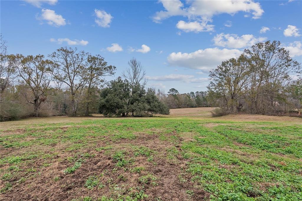 83327 Beason Road Folsom, LA 70437 - Photo 30 of 31 Gallery Image 30