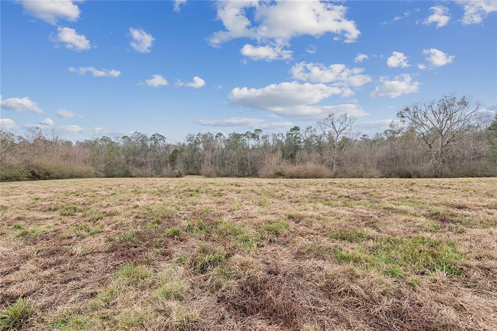 83327 Beason Road Folsom, LA 70437 - Photo 31 of 31 Gallery Image 31
