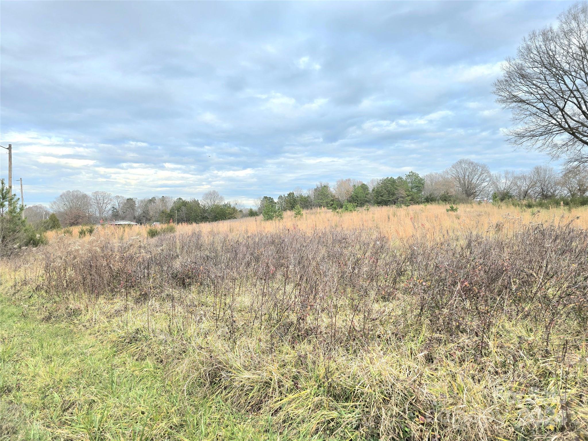 0 Speight Road Albemarle, NC 28001 - Photo 3 of 5 Gallery Image 3