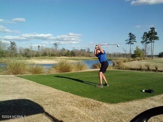 6033 Blueray Drive Leland, NC 28451 - Photo 49 of 57 Leland Golf