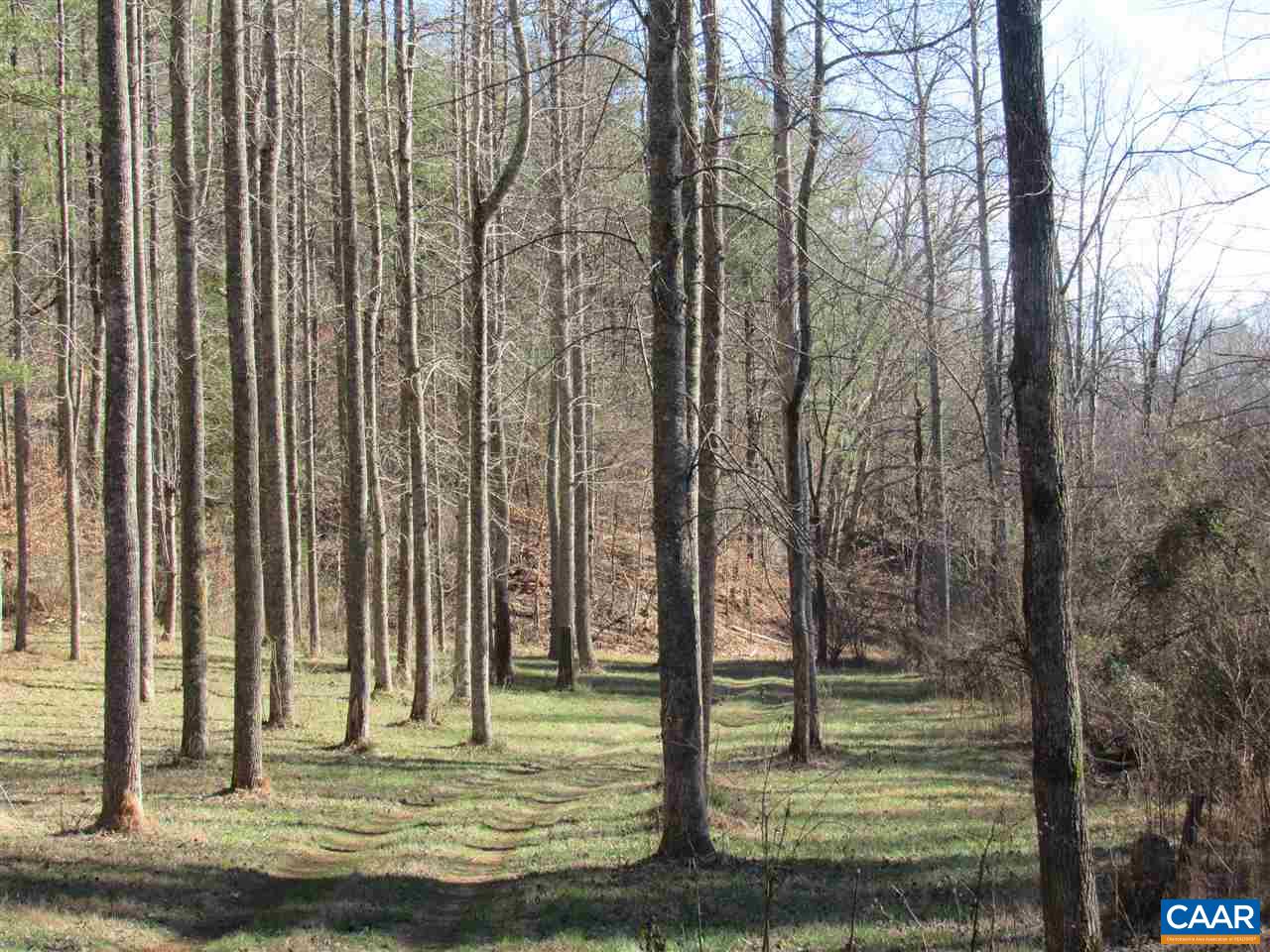 Cedar Creek Road Monroe, VA 24574 - Photo 3 of 15 Gallery Image 3