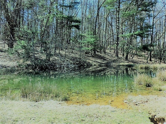 Tbd Mill Creek Road Glade Spring, VA 24340 - Photo 7 of 20 Gallery Image 7
