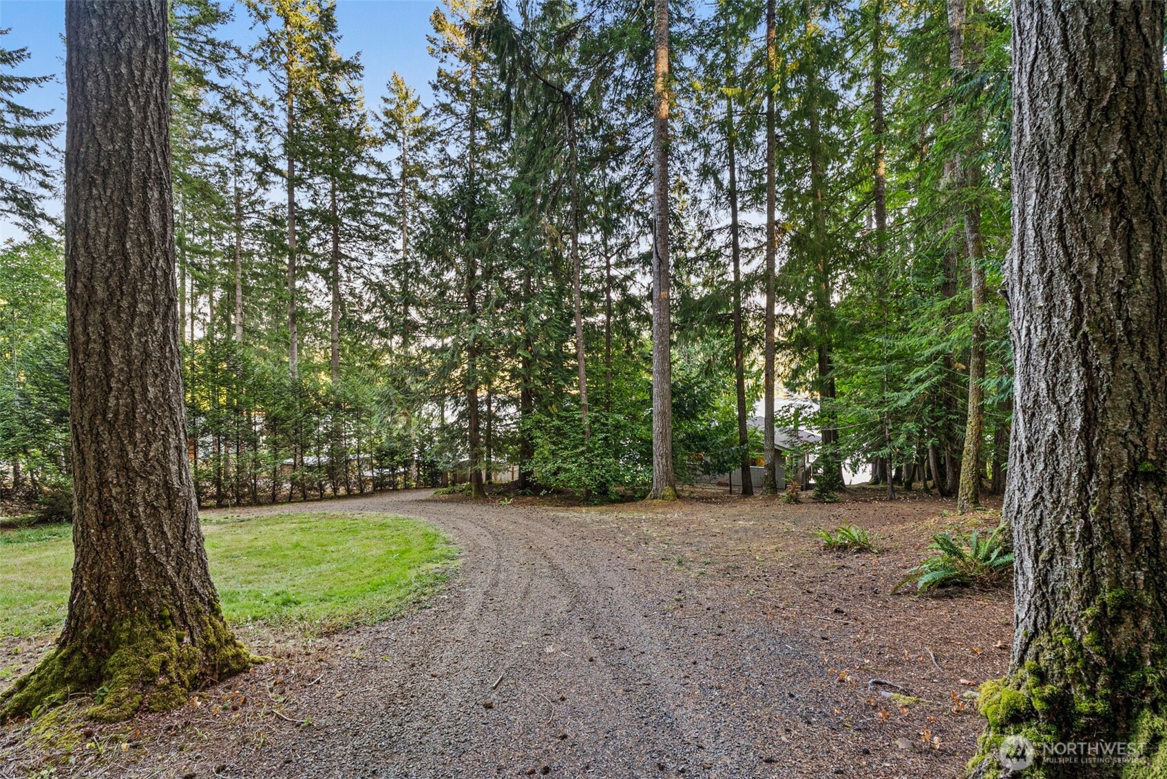 2147 Summit Lake Shore Road Northwest Olympia, WA 98502 - Photo 32 of 38 a view of a trees with a tree in the background