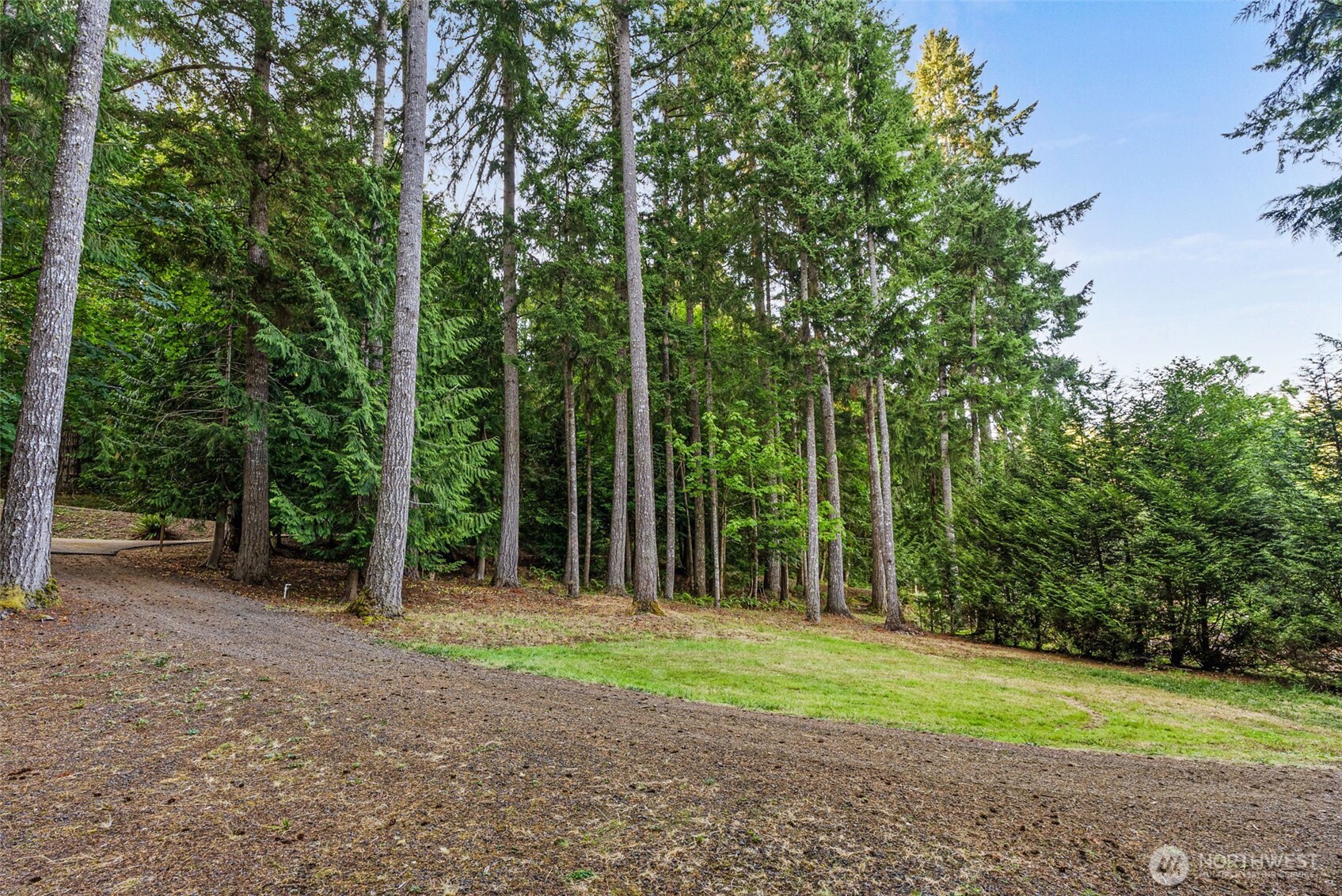 2147 Summit Lake Shore Road Northwest Olympia, WA 98502 - Photo 33 of 38 a backyard of a house with large trees and plants