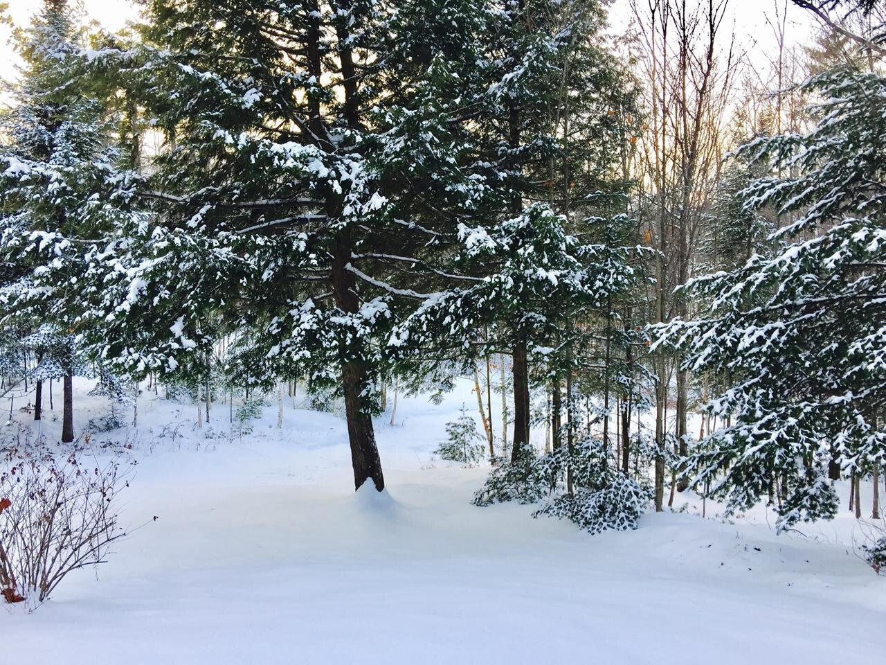 281 Tower Road Vienna, ME 04360 - Photo 35 of 55 281TowerRd_66674_35