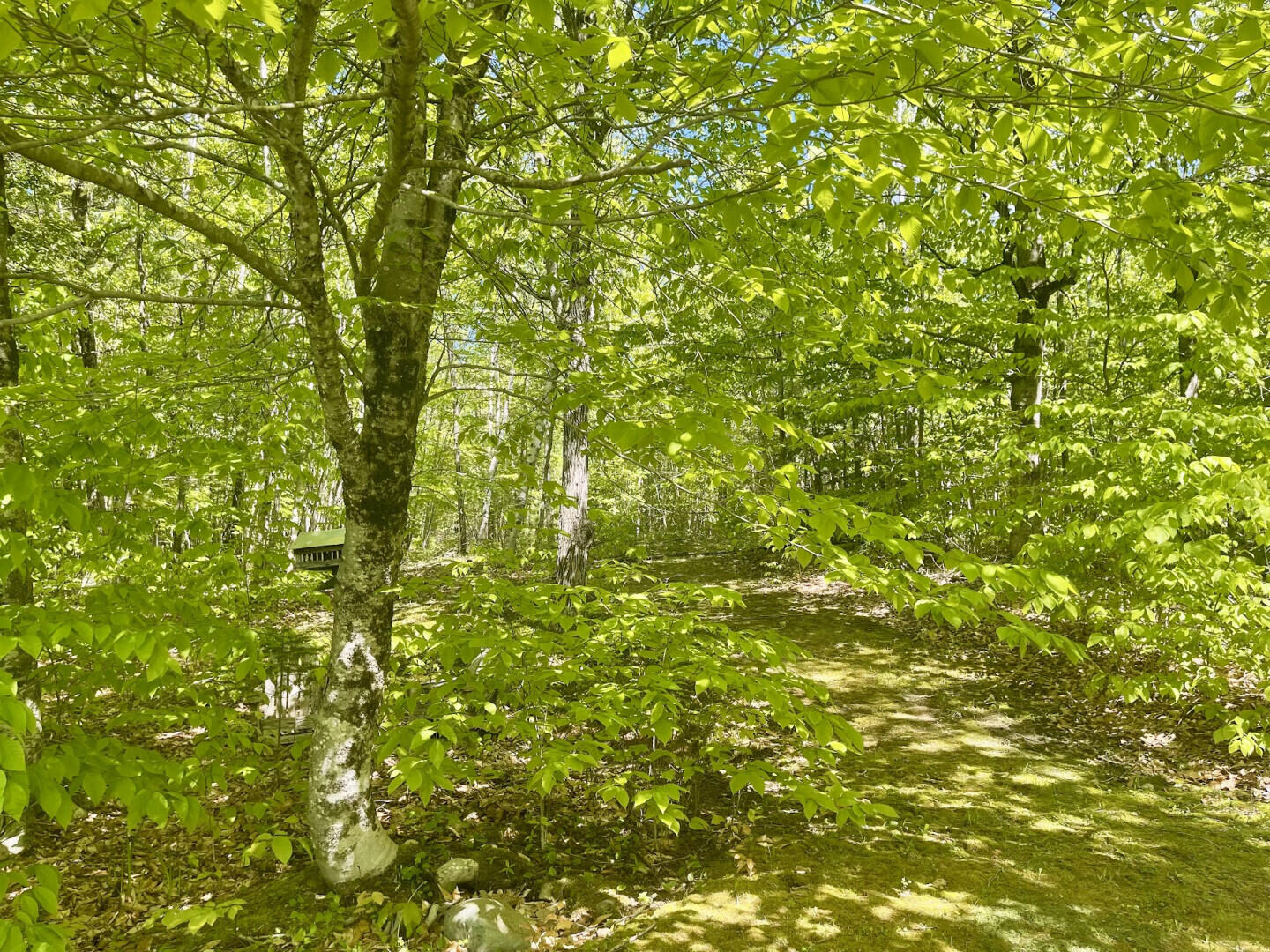 281 Tower Road Vienna, ME 04360 - Photo 49 of 55 281TowerRd_66674_49