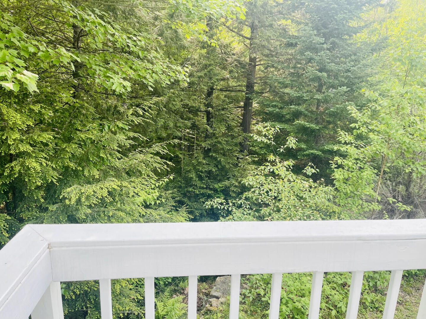 281 Tower Road Vienna, ME 04360 - Photo 7 of 55 281TowerRd_66674_7