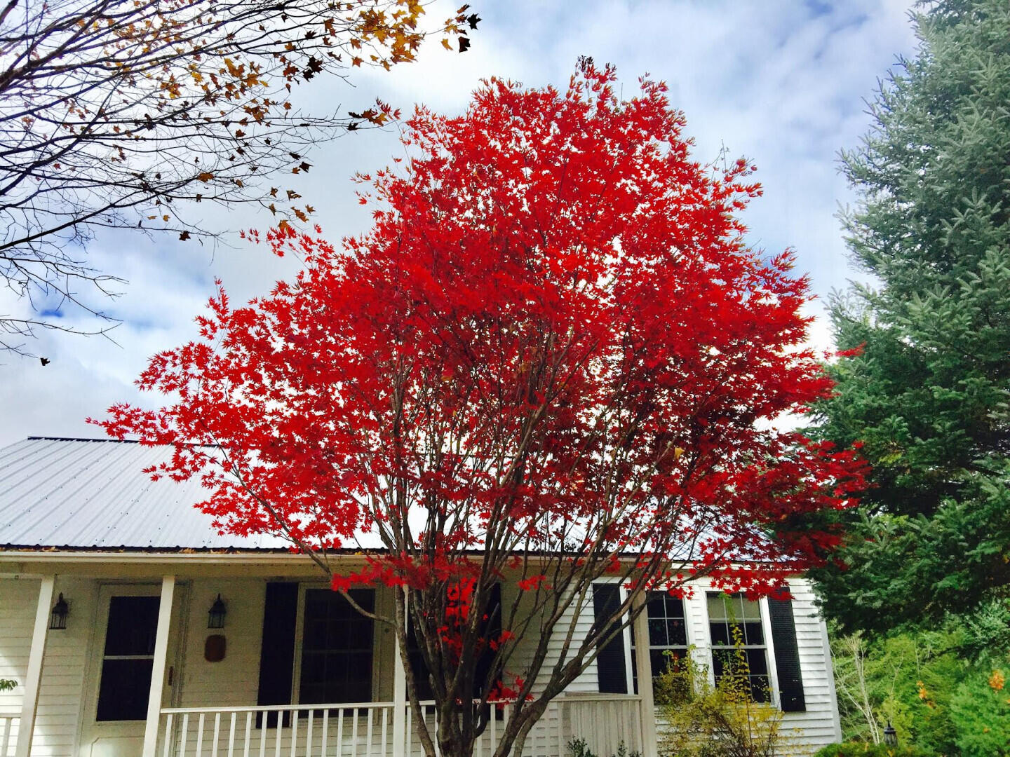 281 Tower Road Vienna, ME 04360 - Photo 8 of 55 281TowerRd_66674_8