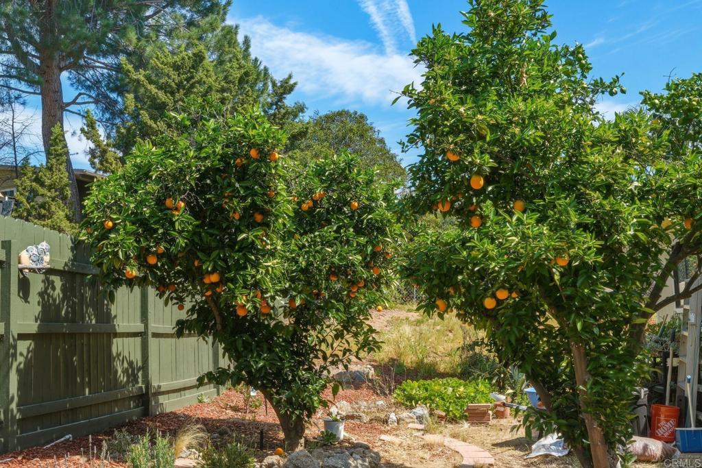 18218 Paradise Mountain Road Valley Center, CA 92082 - Photo 38 of 40