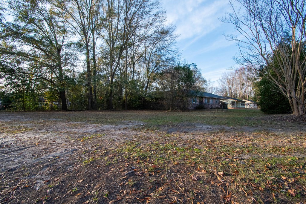 109 Lemmon Street Sumter, SC 29150 - Photo 13 of 43 Gallery Image 13