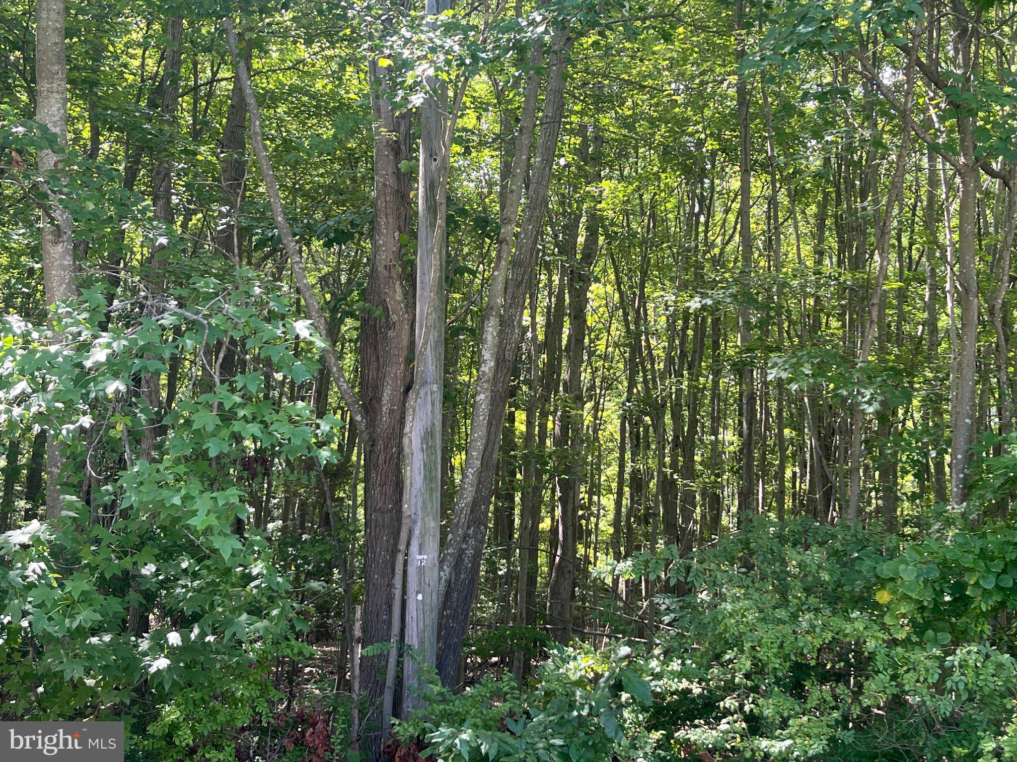 1495 Cedarhurst Road Shady Side, MD 20764 - Photo 25 of 36 View of property 10