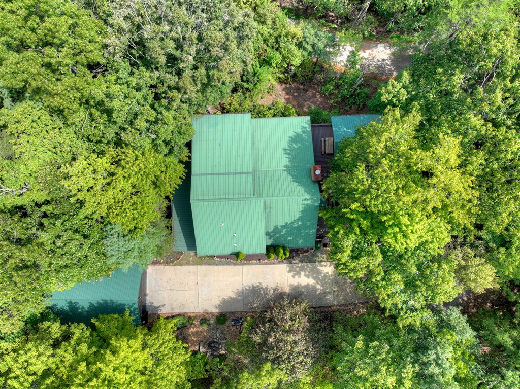296 Overlook Road Blue Ridge, GA 30513 - Photo 14 of 65 Gallery Image 14