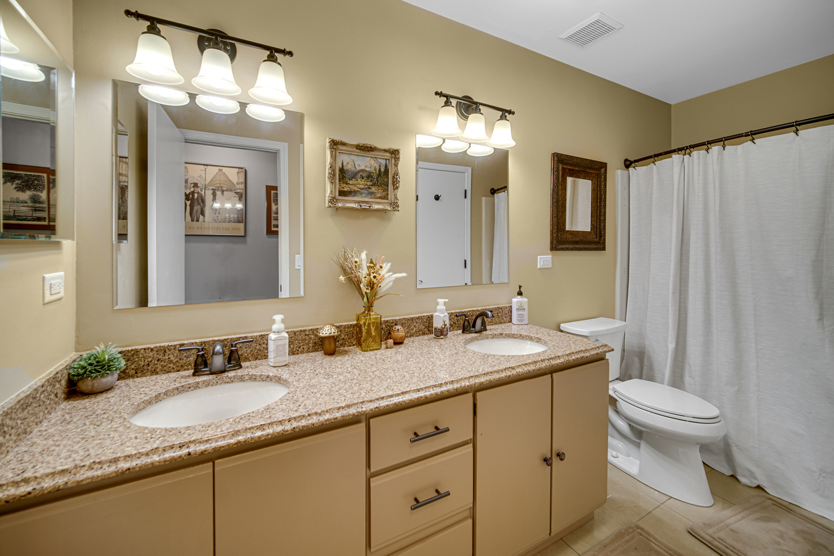 807 Summit Avenue Wauconda, IL 60084 - Photo 12 of 25 a bathroom with a granite countertop sink toilet and mirror
