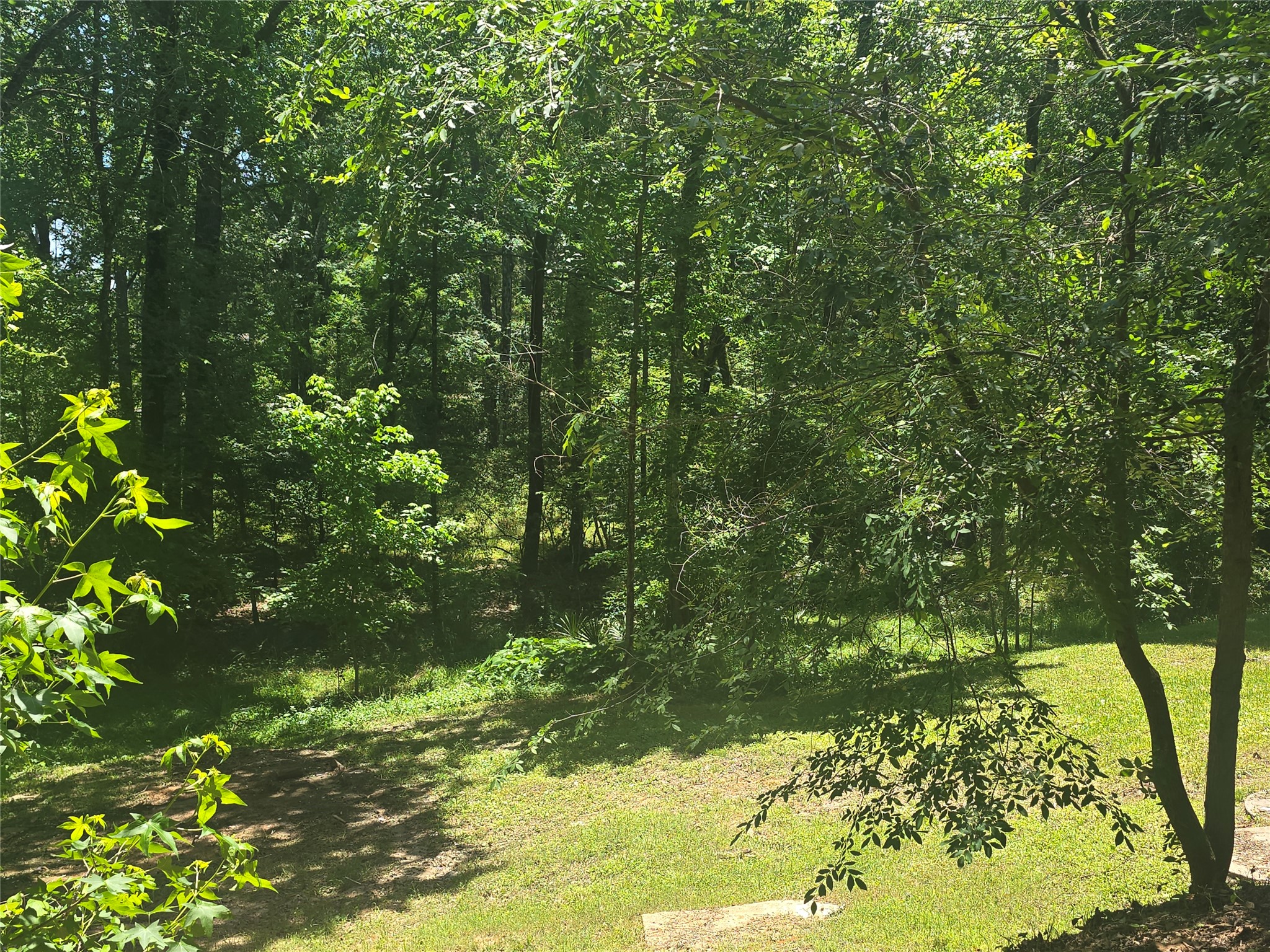 110 Hidden Circle Coldspring, TX 77331 - Photo 23 of 24 back yard