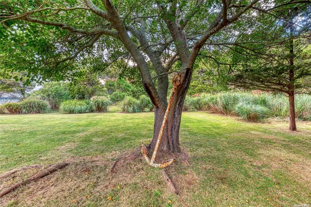 a view of outdoor space and yard