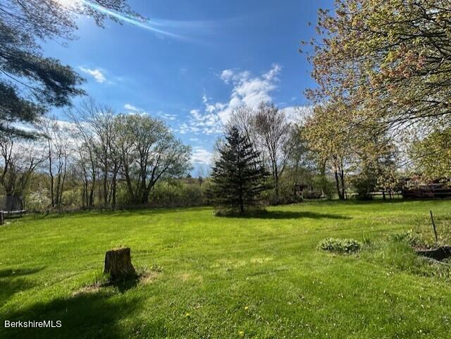 773 Pecks Road Pittsfield, MA 01201 - Photo 3 of 33 Lovely rear yard