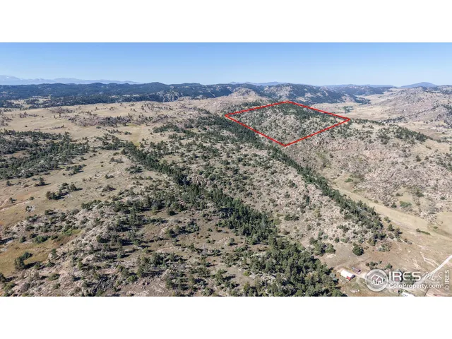 a view of a dry yard with trees