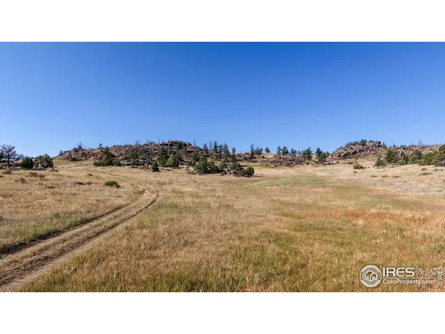 a open area with a yard