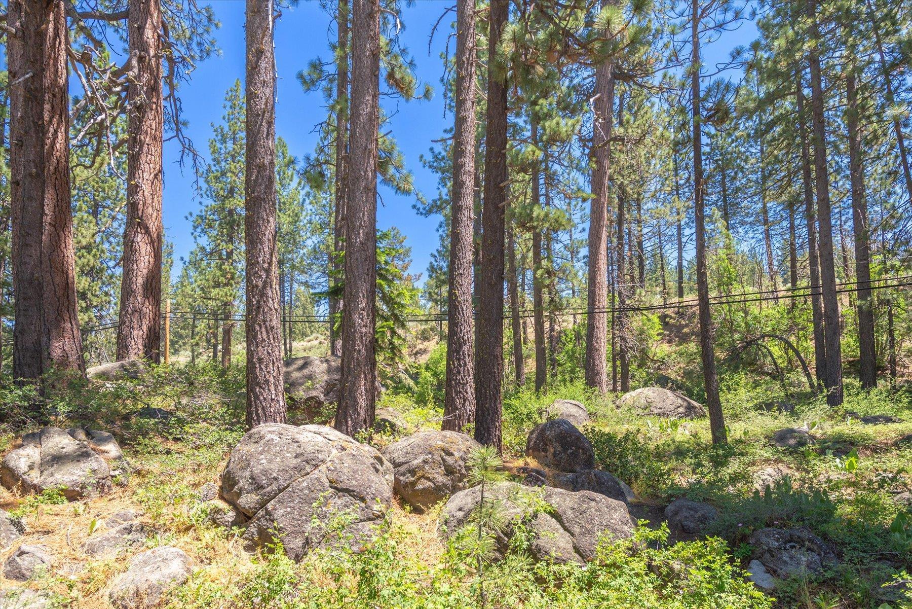 13020 Donner Pass Road Truckee, CA 96161 - Photo 9 of 18
