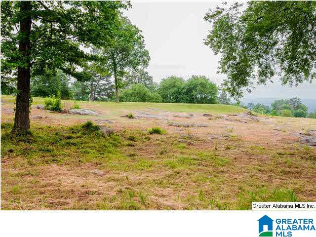 2303 Chestnut Road Birmingham, AL 35216 - Photo 3 of 30