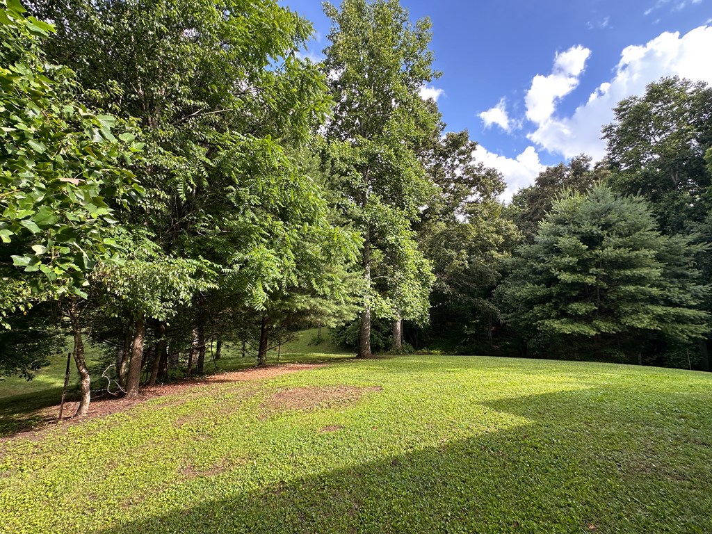 788 Trails End Road Blue Ridge, GA 30513 - Photo 6 of 34 Gallery Image 6