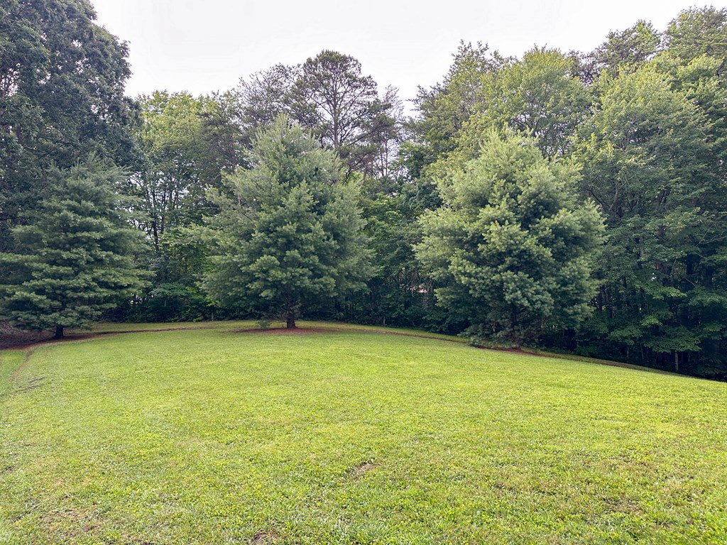 788 Trails End Road Blue Ridge, GA 30513 - Photo 7 of 34 Gallery Image 7