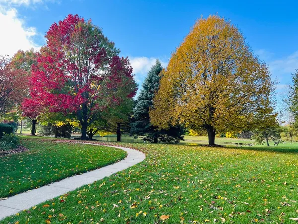 a view of a green field