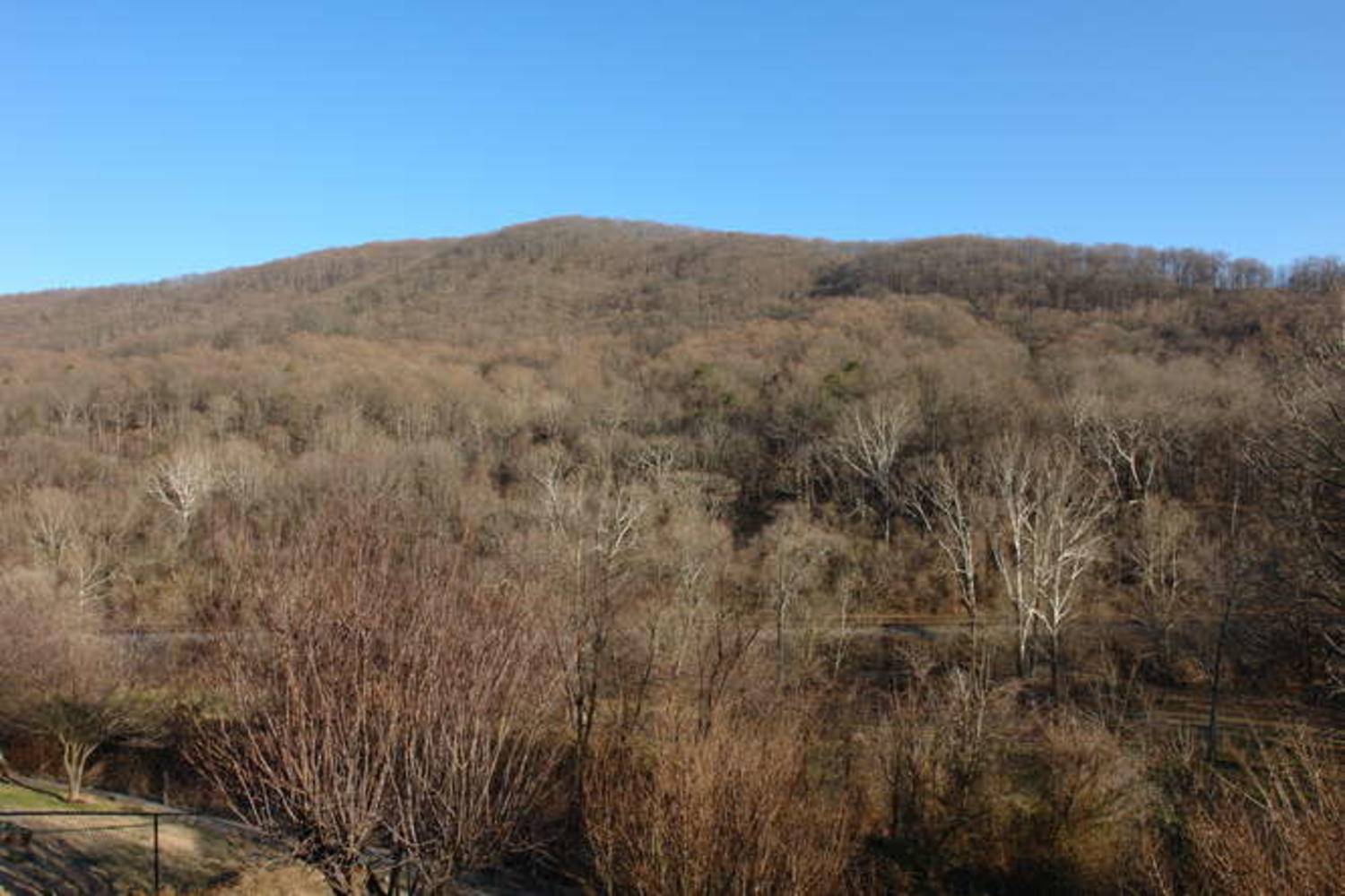 3829 Rte 3004 Roanoke, VA 24012 - Photo 24 of 24 3829 Derby Drive Roanoke VA-large-024-53