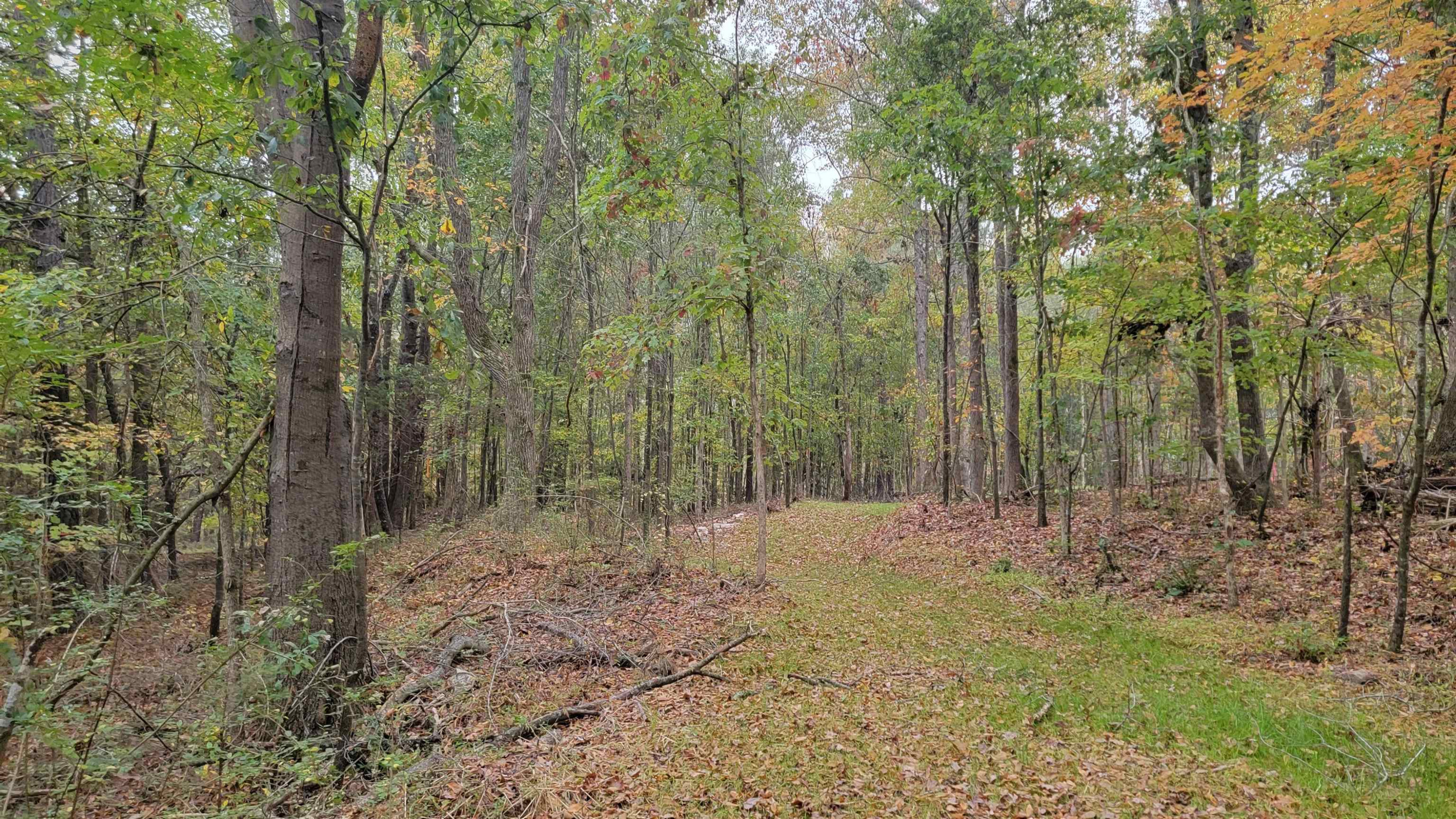 1500 Old Watkins Road Raleigh, NC 27616 - Photo 10 of 21 Natural Area