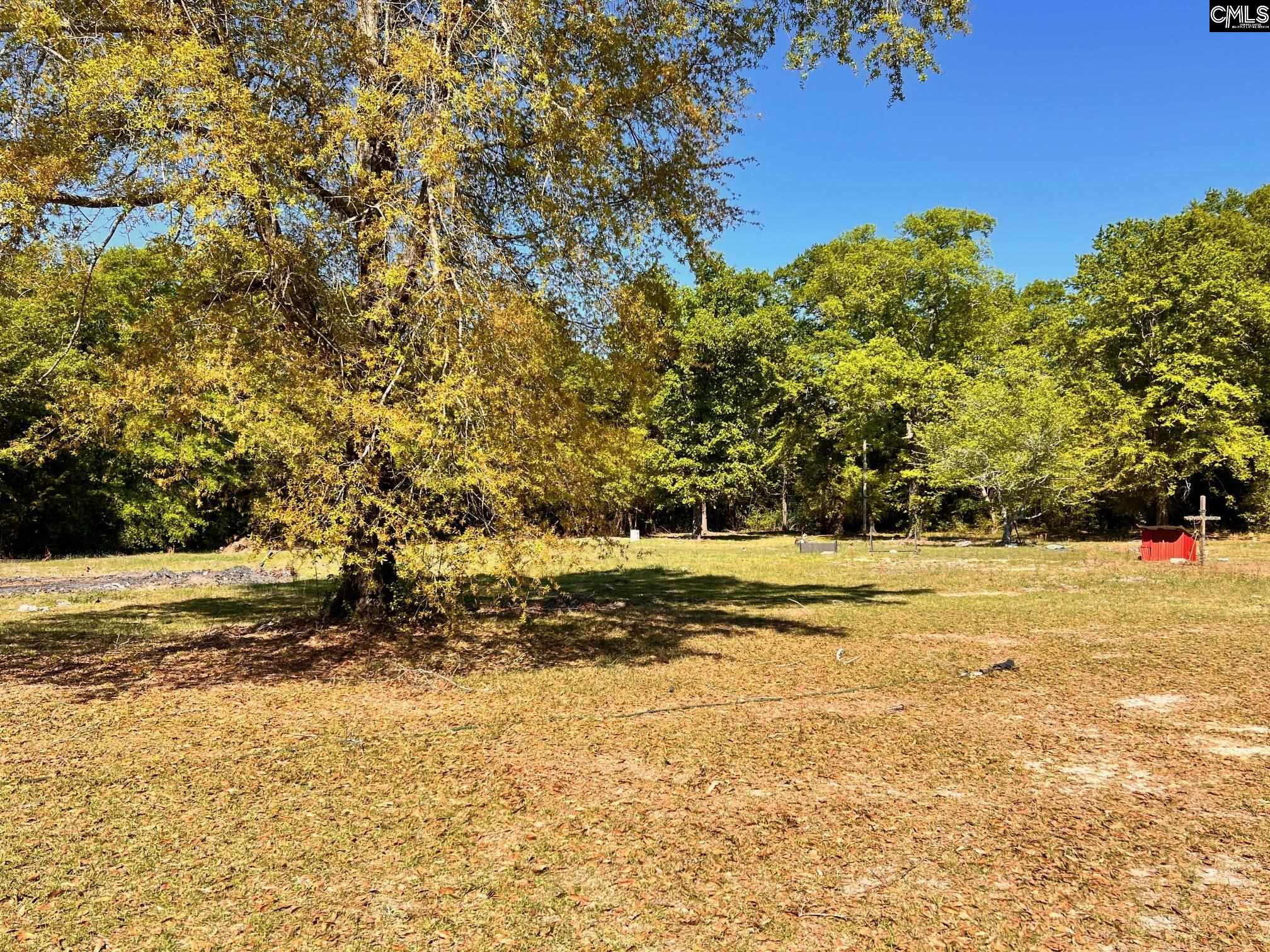 0 Shadow Lane Wagener, SC 29164 - Photo 4 of 6