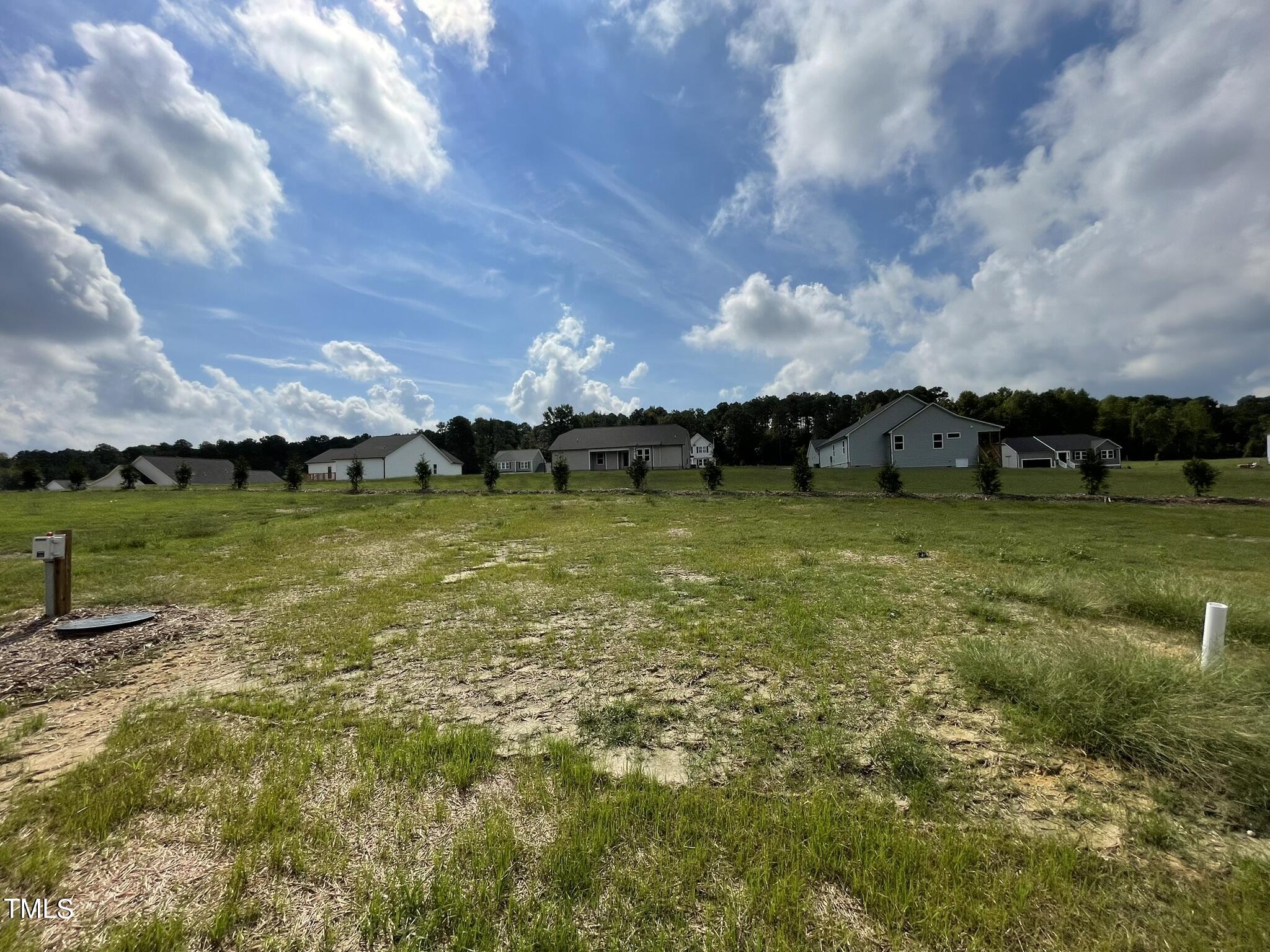 66 Tulipfield Way Benson, NC 27504 - Photo 18 of 18 IMG_8037