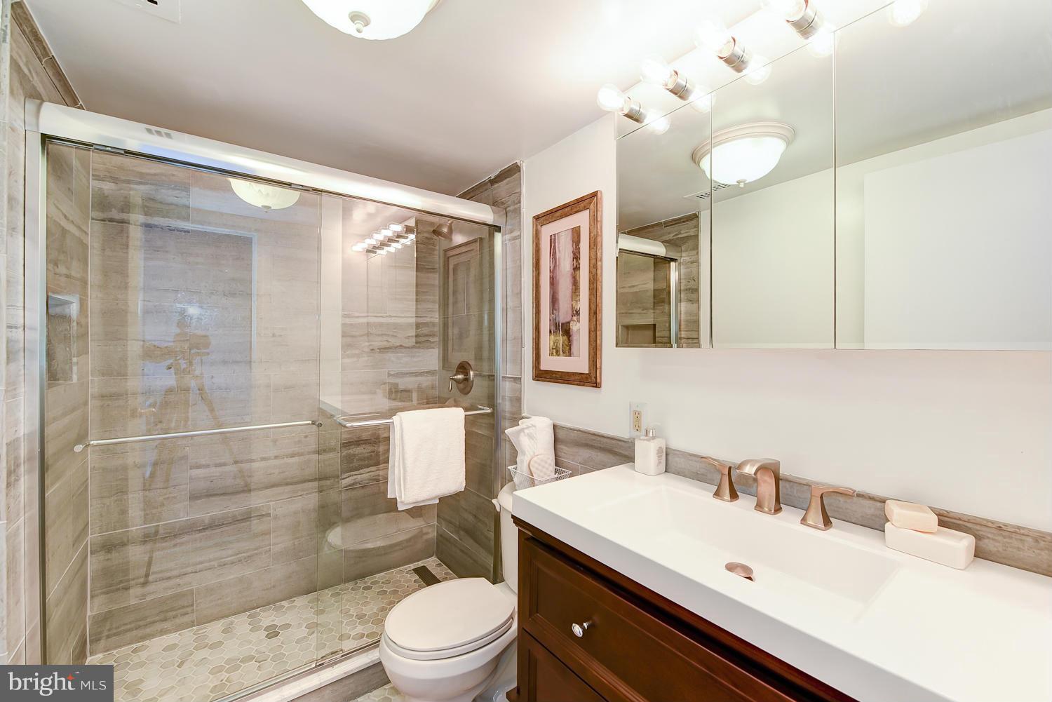 1250 4th Street Southwest, Unit W107 Washington, DC 20024 - Photo 18 of 30 a bathroom with a sink vanity granite toilet and shower