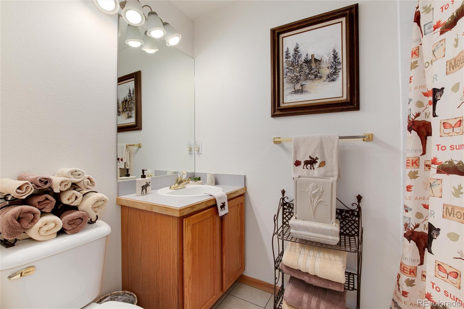 1211 Hughesville Road Black Hawk, CO 80422 - Photo 17 of 39 a bathroom with a sink toilet and vanity
