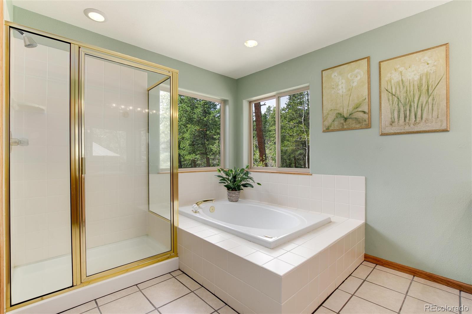 1211 Hughesville Road Black Hawk, CO 80422 - Photo 20 of 39 a bathroom with a bathtub a shower and a sink