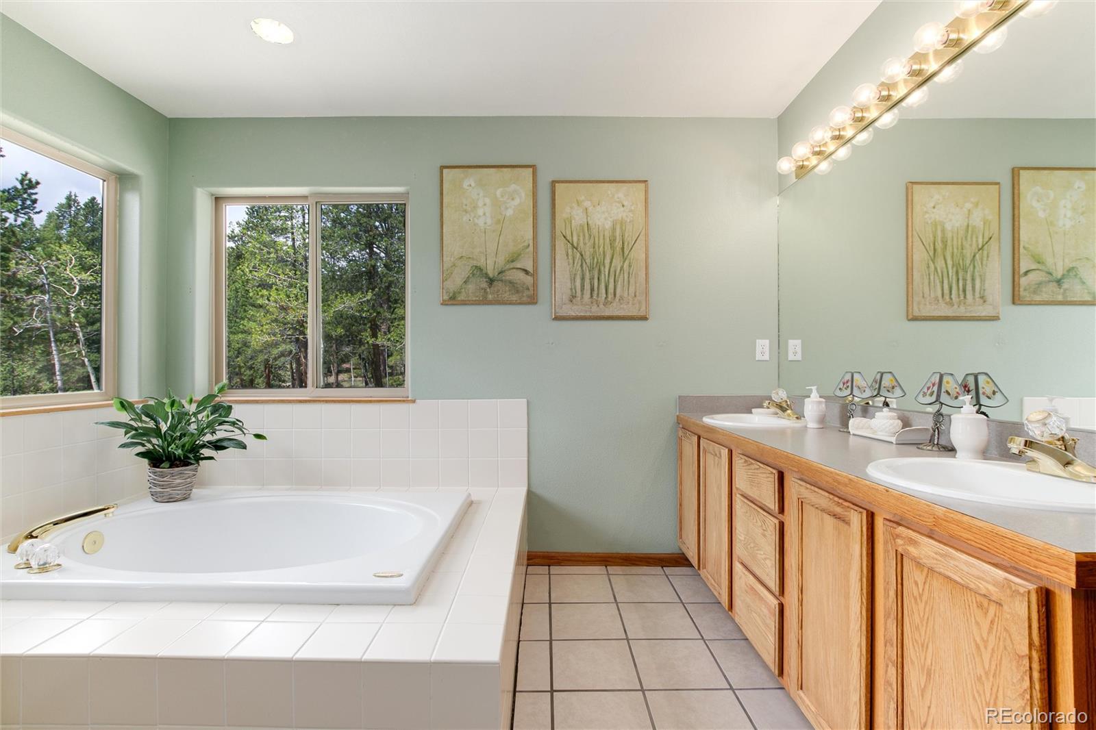 1211 Hughesville Road Black Hawk, CO 80422 - Photo 21 of 39 a bathroom with a tub sink and mirror