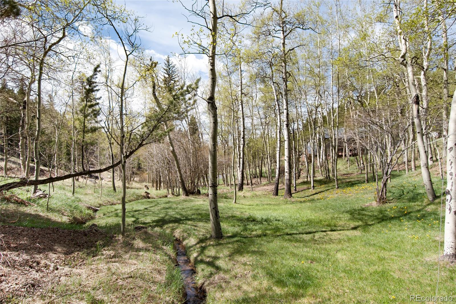 1211 Hughesville Road Black Hawk, CO 80422 - Photo 35 of 39 a view of yard with tree
