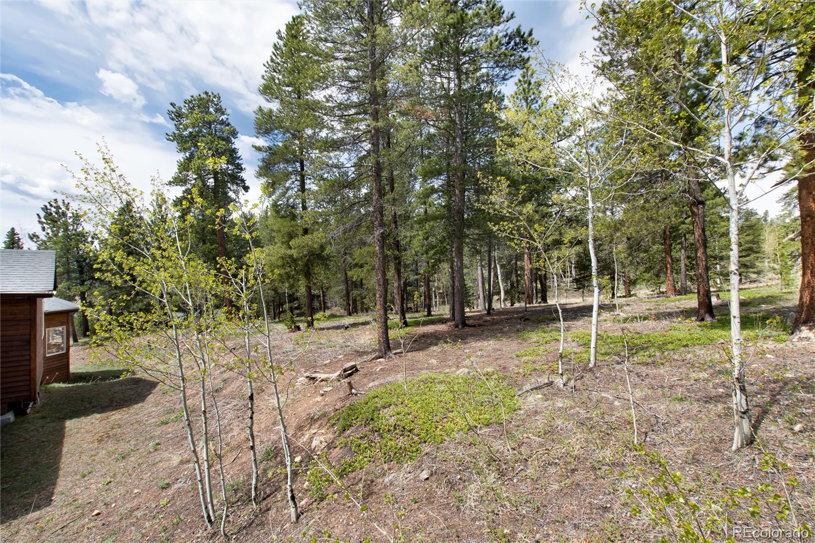 1211 Hughesville Road Black Hawk, CO 80422 - Photo 36 of 39 a view of a park with large trees